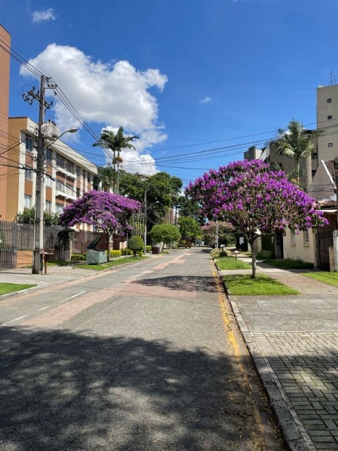 Apartamento à venda com 3 quartos, 100m² - Foto 6