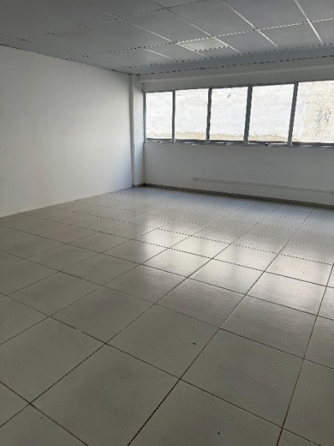 Imóvel Comercial, 1048 m² - Foto 4
