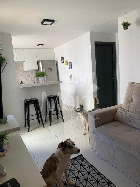 Apartamento à venda com 2 quartos, 42m² - Foto 6