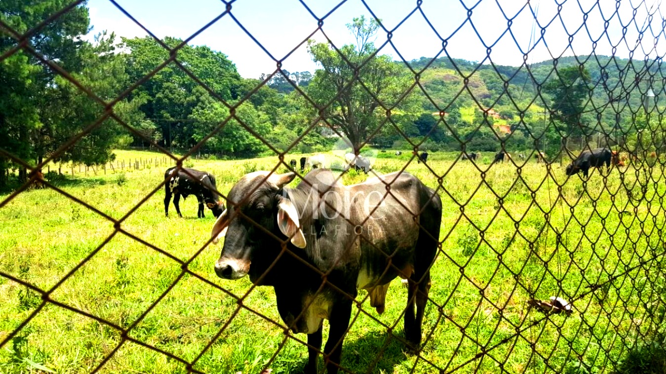 Fazenda à venda com 2 quartos, 15065m² - Foto 23