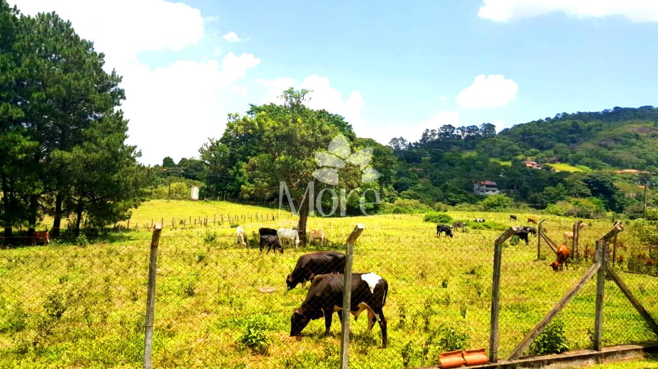 Fazenda à venda com 2 quartos, 15065m² - Foto 13