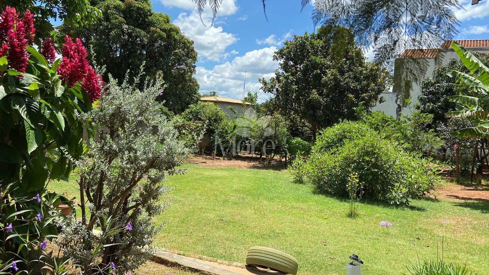 Fazenda à venda com 2 quartos, 1000m² - Foto 14