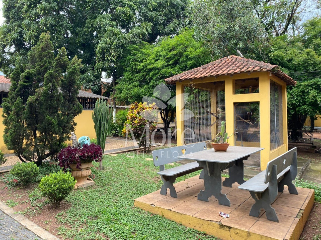 Fazenda à venda com 3 quartos, 3750m² - Foto 11