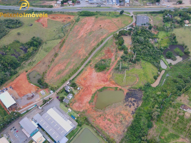 Terreno, 5 hectares - Foto 4