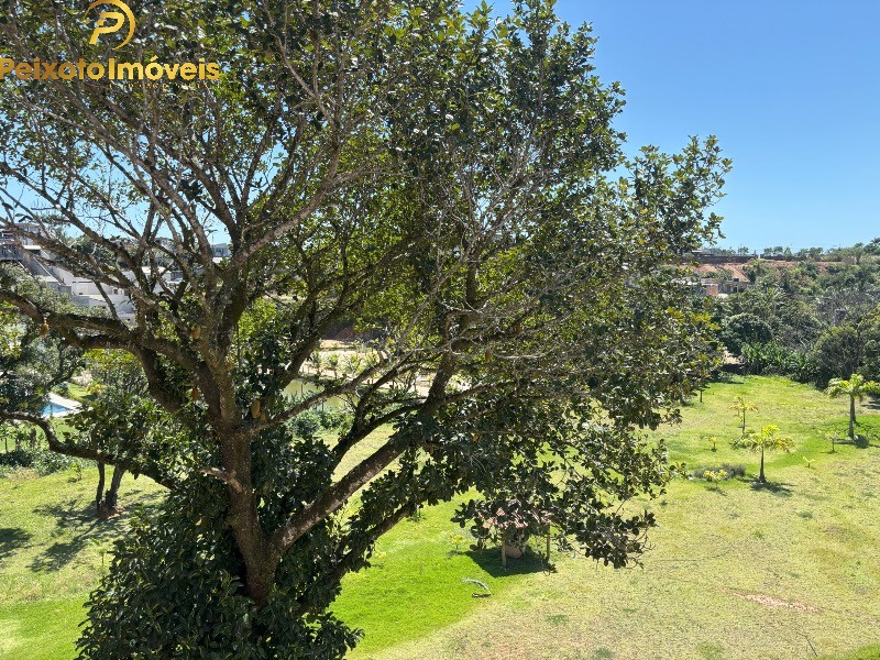 Fazenda, 6 quartos - Foto 34