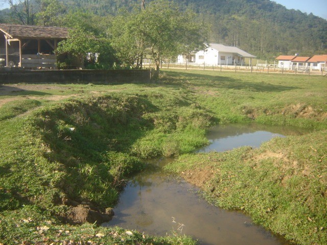 Fazenda à venda com 3 quartos, 24371m² - Foto 4