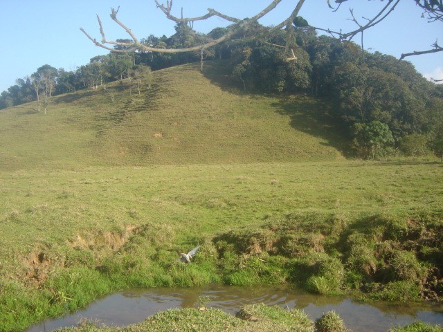 Fazenda à venda com 3 quartos, 24371m² - Foto 2