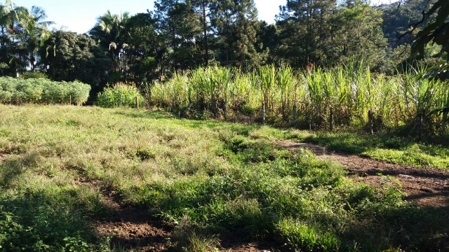 Prédio Inteiro à venda com 4 quartos, 199m² - Foto 34