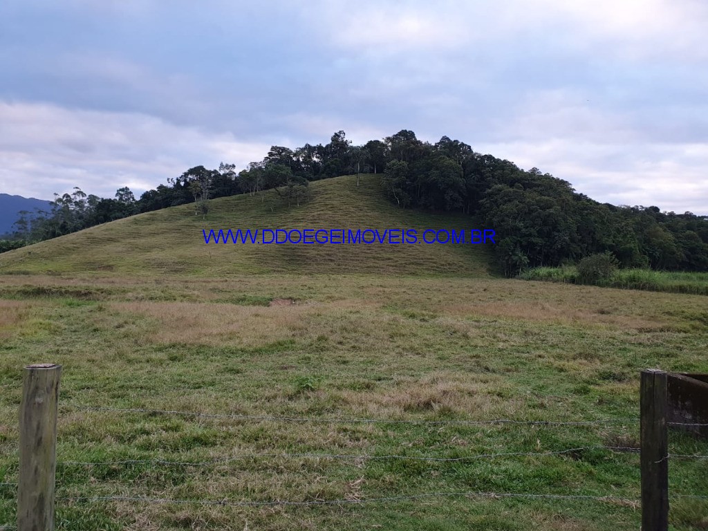 Fazenda à venda com 3 quartos, 24371m² - Foto 21