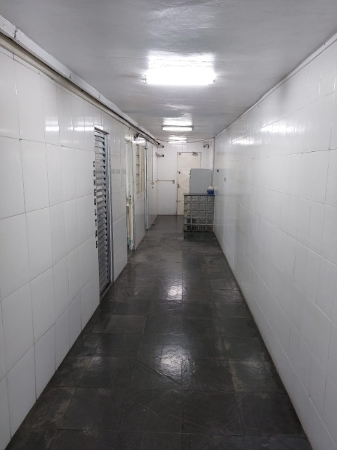 Conjunto Comercial-Sala para alugar - Foto 20