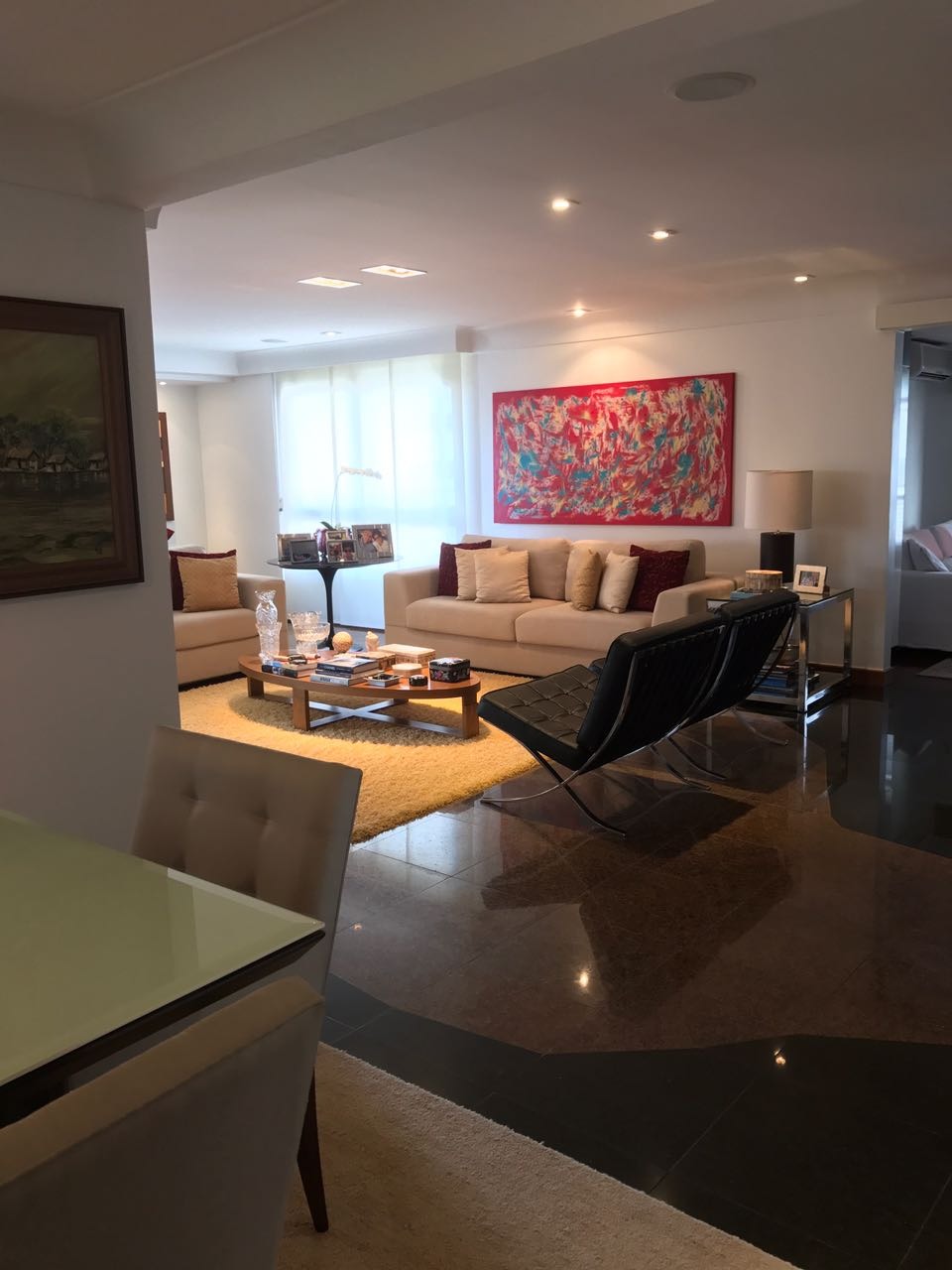 Apartamento à venda com 4 quartos, 225m² - Foto 6