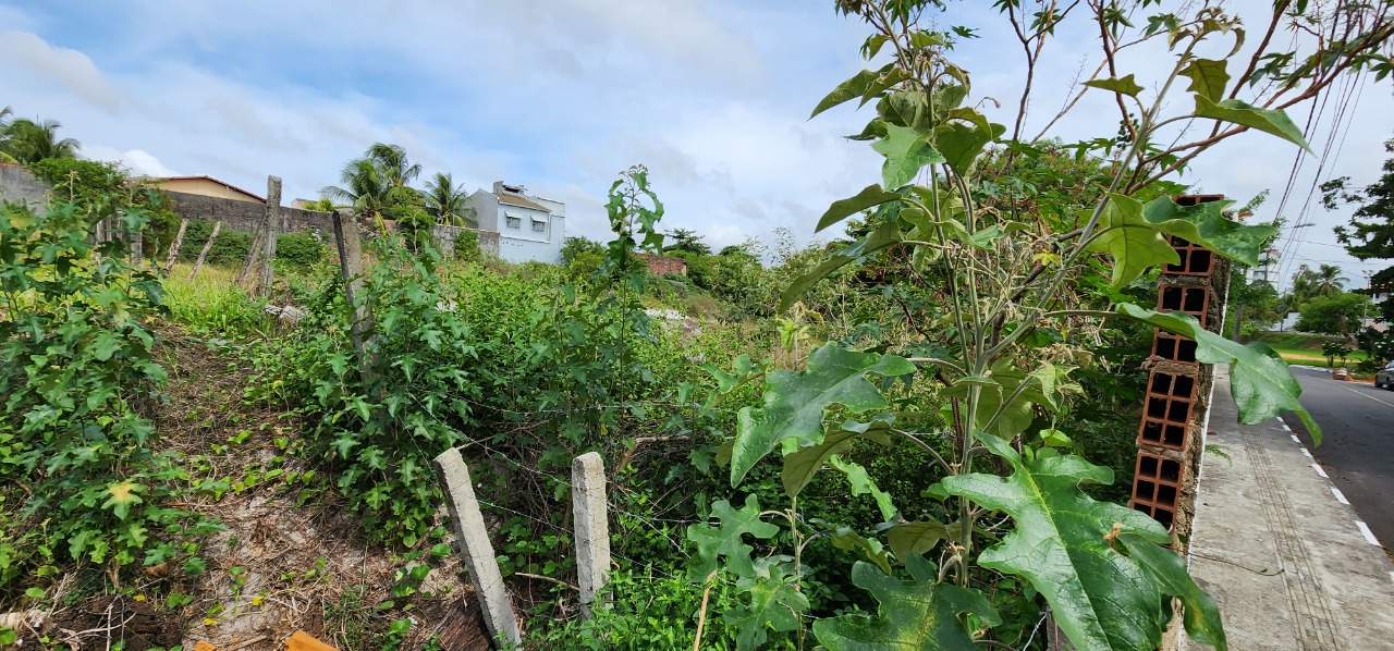 Terreno à venda, 6000m² - Foto 2