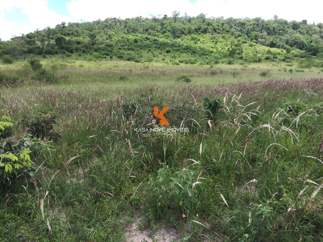 Fazenda-Sítio-Chácara, 653 m² - Foto 4