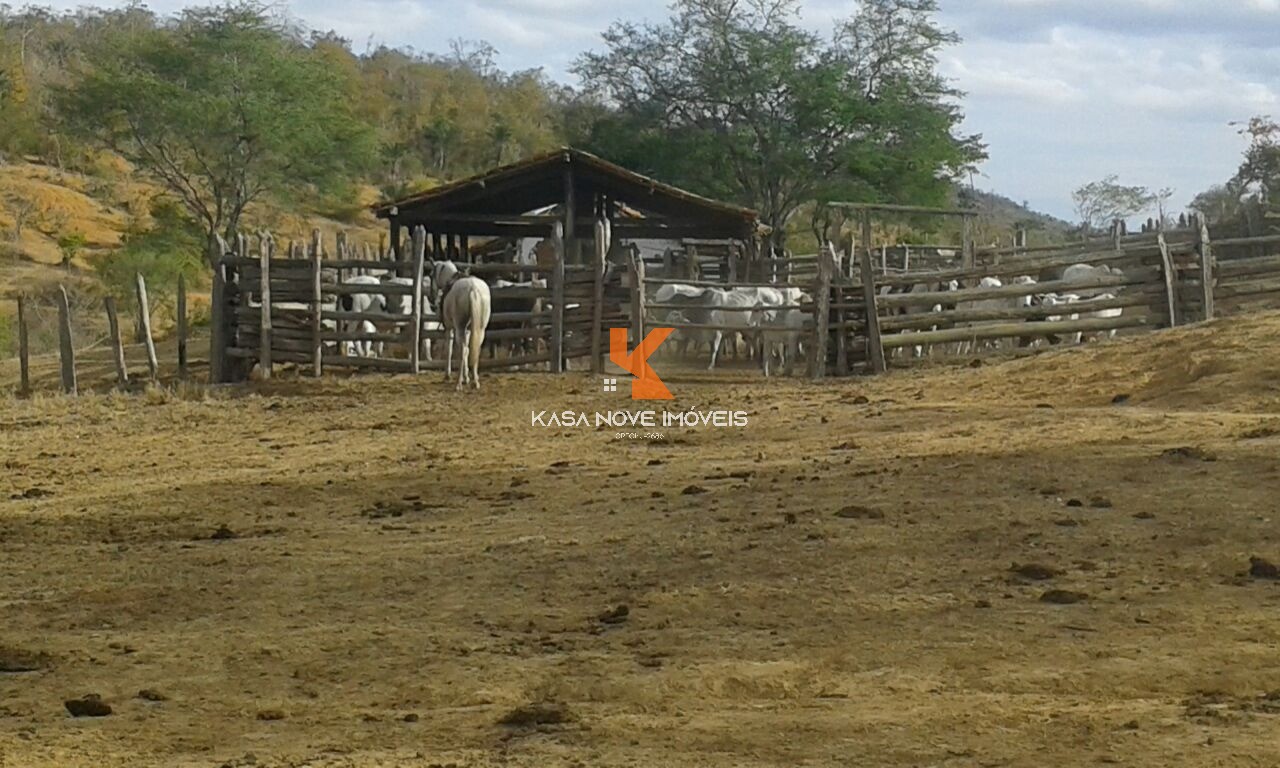 Fazenda, 653 m² - Foto 8