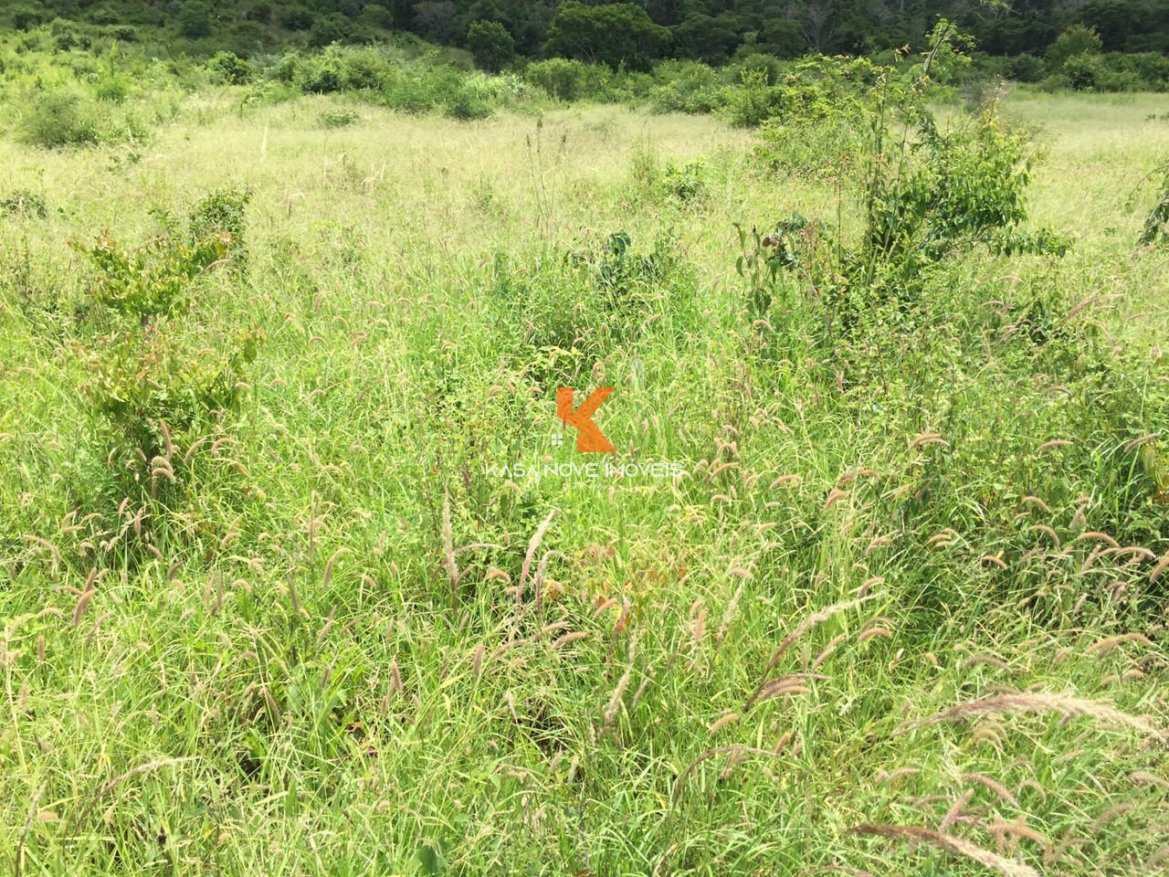 Fazenda-Sítio-Chácara, 653 m² - Foto 3