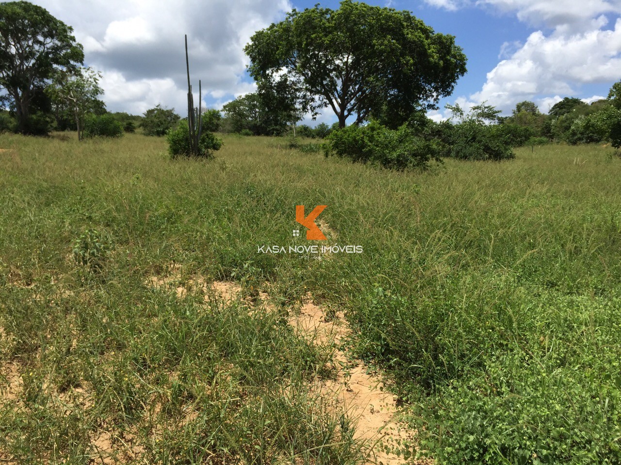 Fazenda-Sítio-Chácara, 653 m² - Foto 5