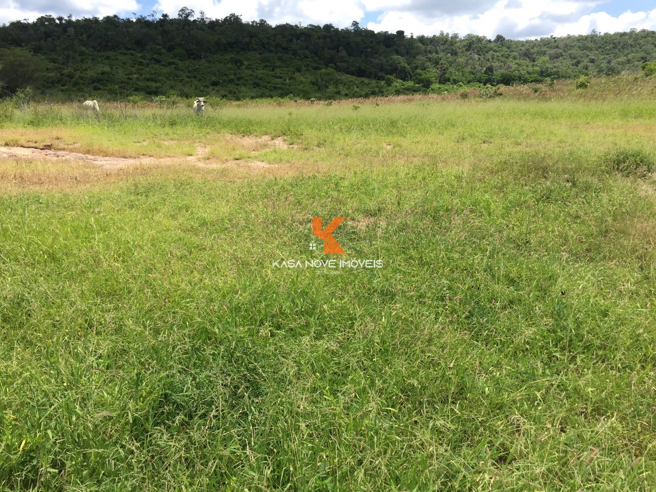 Fazenda, 653 m² - Foto 9