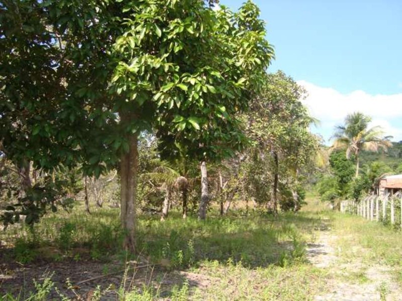 Terreno à venda, 127000m² - Foto 3