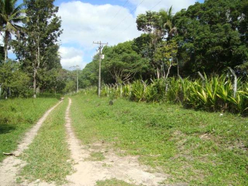 Terreno à venda, 127000m² - Foto 7