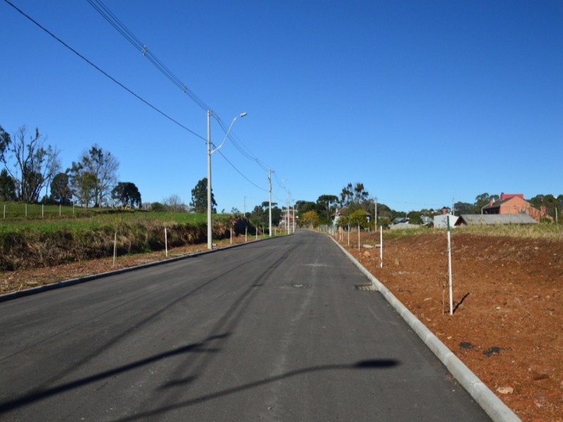 Terreno à venda, 319m² - Foto 6