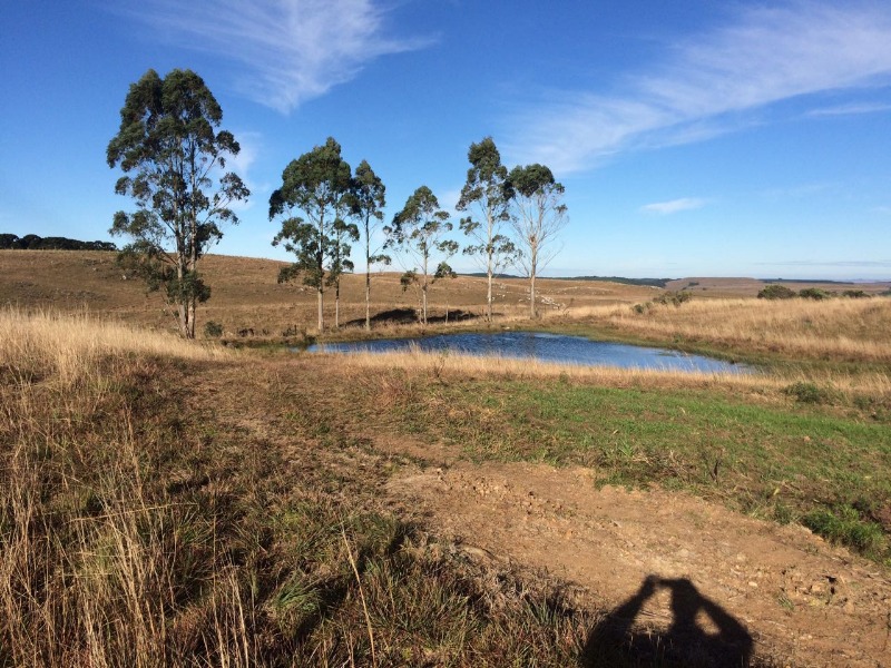 Fazenda à venda - Foto 1