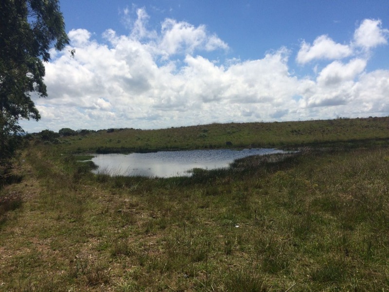 Fazenda à venda - Foto 3