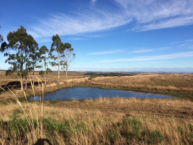 Fazenda à venda - Foto 4