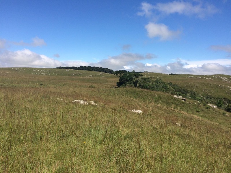 Fazenda à venda - Foto 6