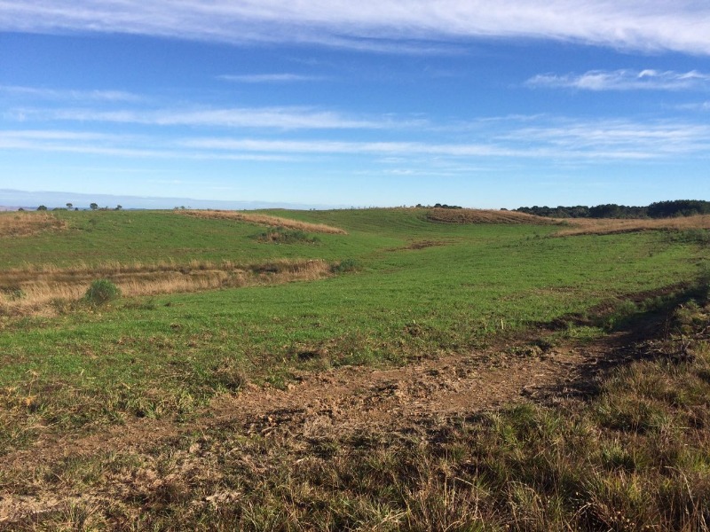 Fazenda à venda - Foto 8