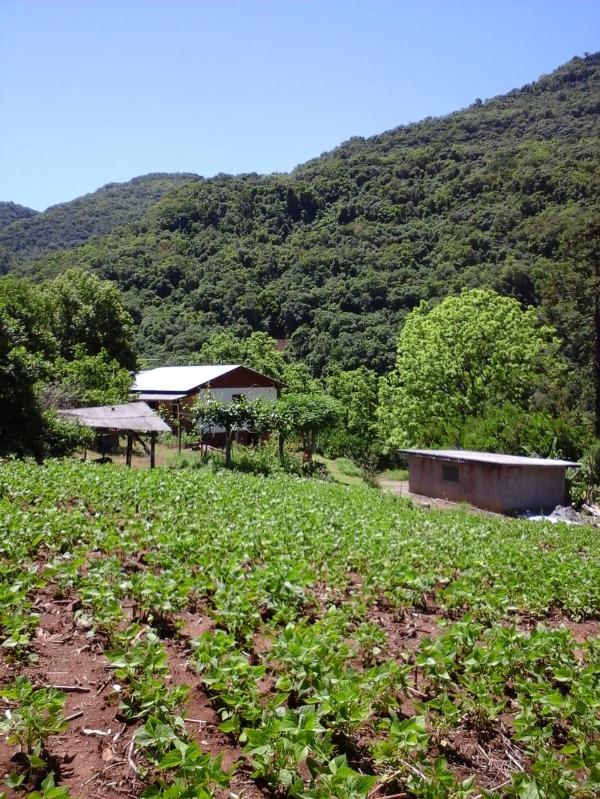 Fazenda à venda com 4 quartos, 160000m² - Foto 1