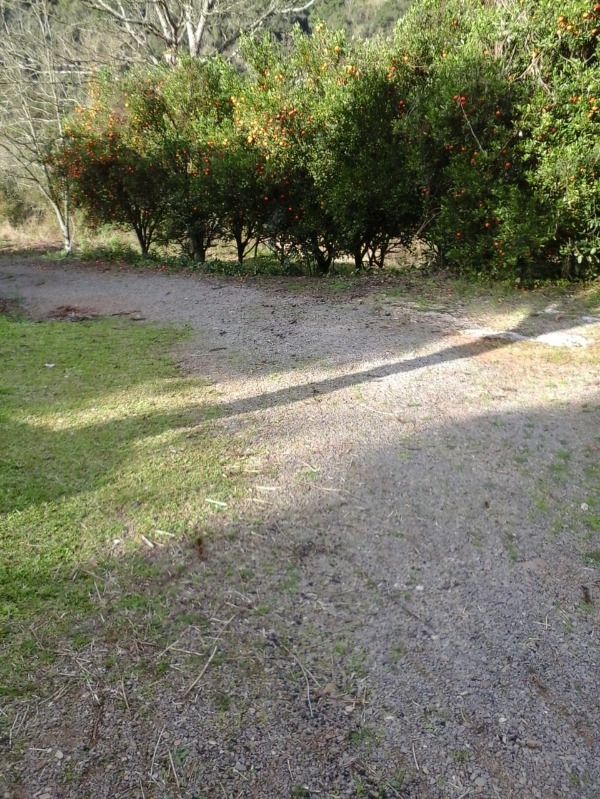 Fazenda à venda com 4 quartos, 160000m² - Foto 6