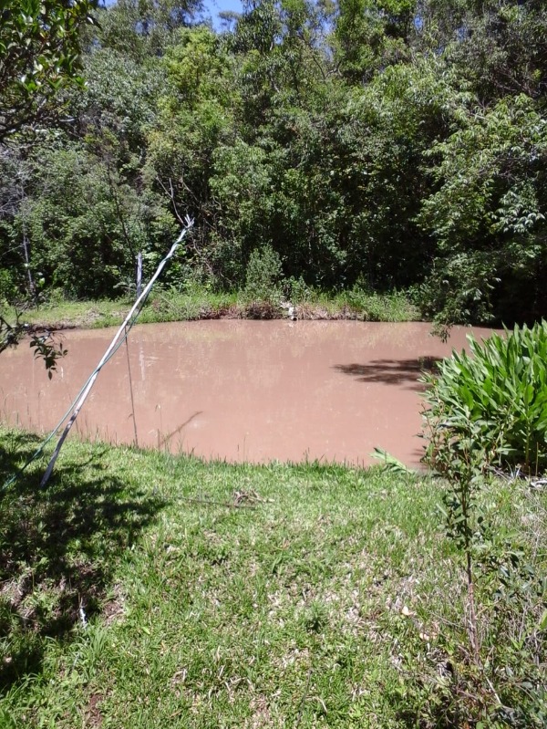 Fazenda à venda com 4 quartos, 160000m² - Foto 7