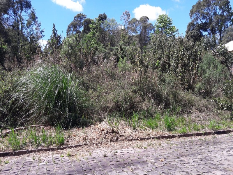 Terreno à venda, 300m² - Foto 2