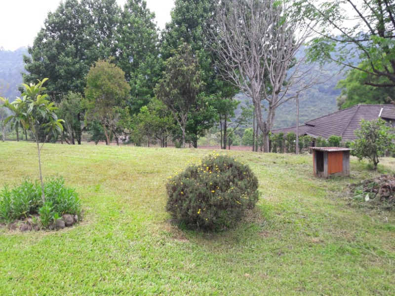 Fazenda à venda com 3 quartos, 140m² - Foto 7