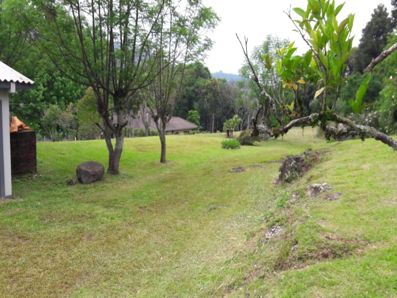 Fazenda à venda com 3 quartos, 140m² - Foto 10