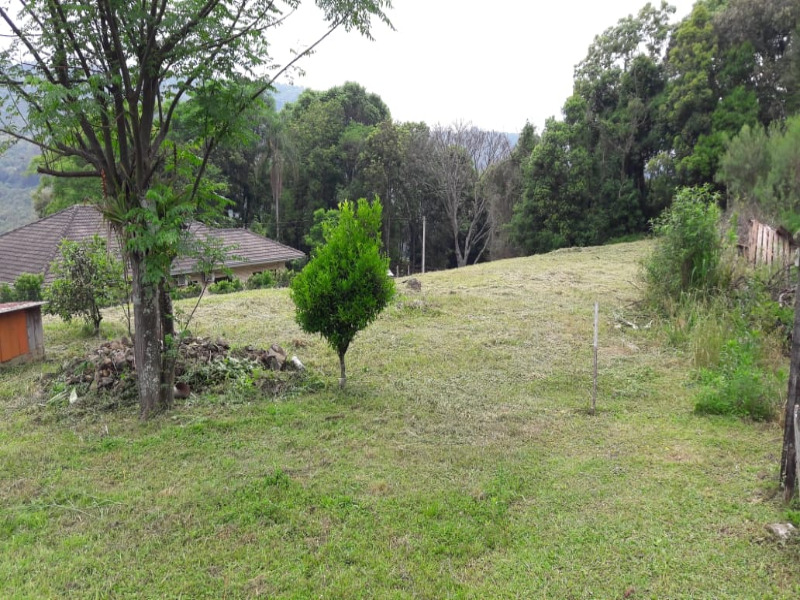 Fazenda à venda com 3 quartos, 140m² - Foto 12