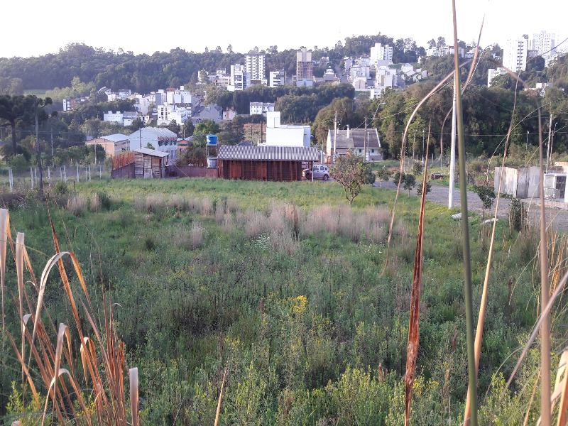 Terreno à venda, 360m² - Foto 2