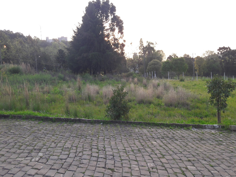 Terreno à venda, 360m² - Foto 4