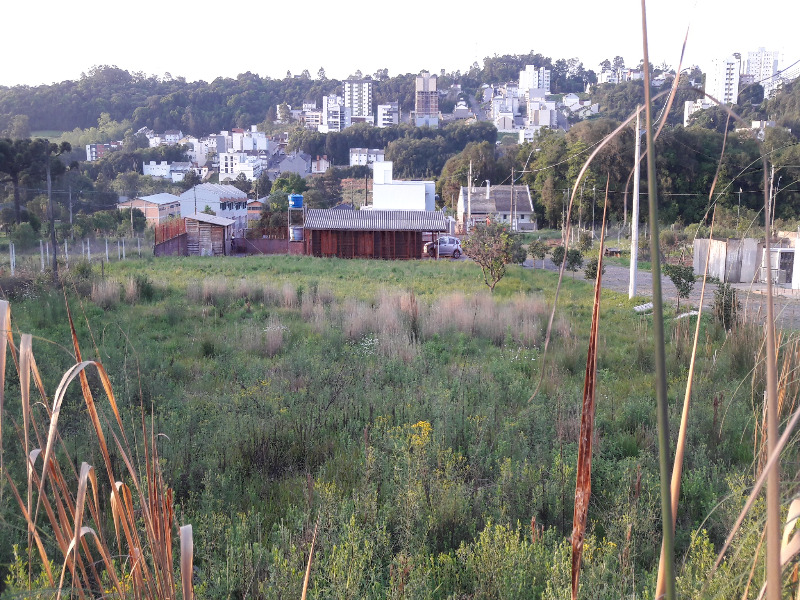 Terreno à venda, 360m² - Foto 5