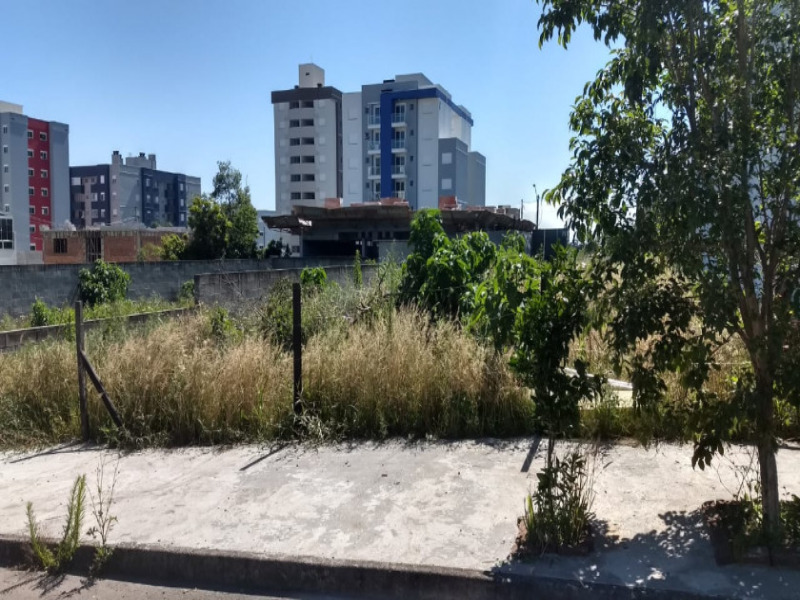 Terreno à venda, 360m² - Foto 6