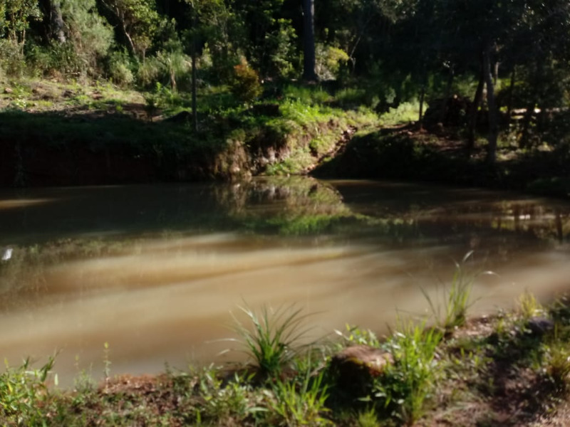 Fazenda à venda com 2 quartos, 20000m² - Foto 1