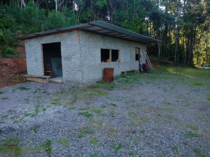 Fazenda à venda com 2 quartos, 20000m² - Foto 4