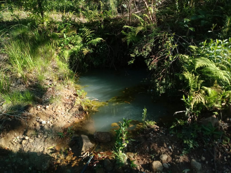 Fazenda à venda com 2 quartos, 20000m² - Foto 5