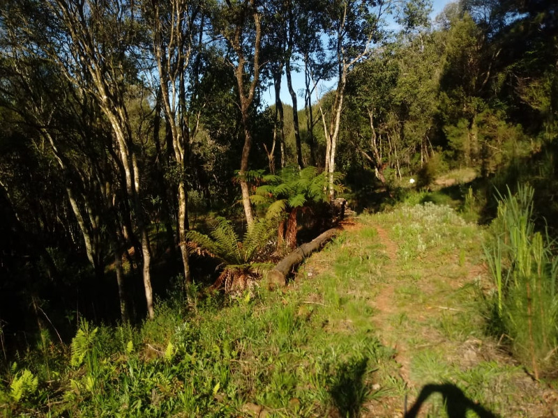 Fazenda à venda com 2 quartos, 20000m² - Foto 7