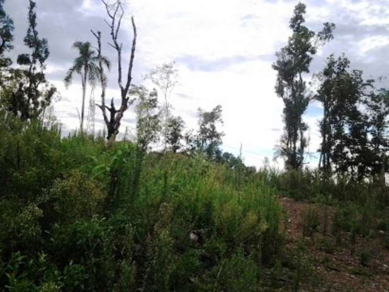 Loteamento e Condomínio - Foto 1