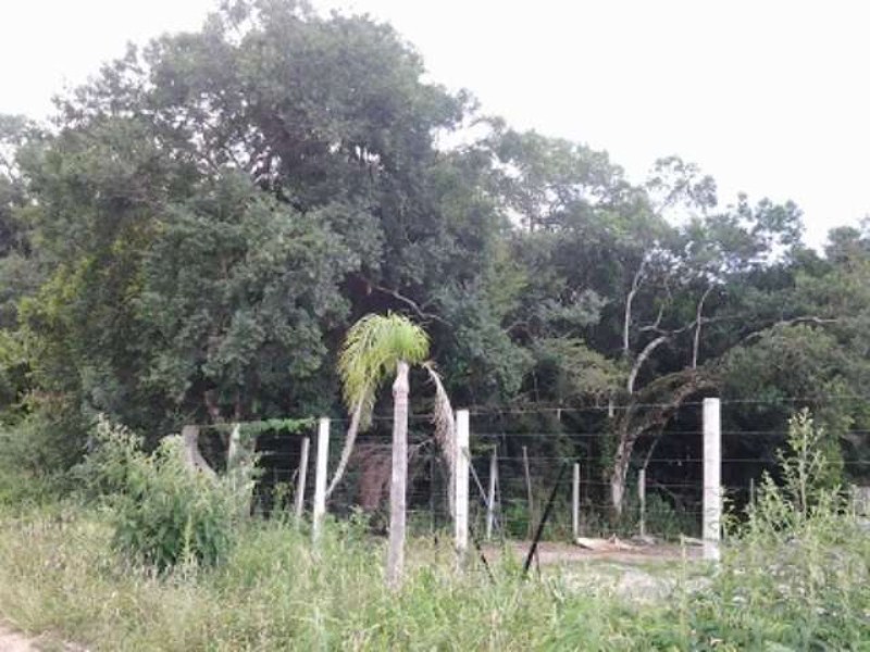 Loteamento e Condomínio - Foto 2