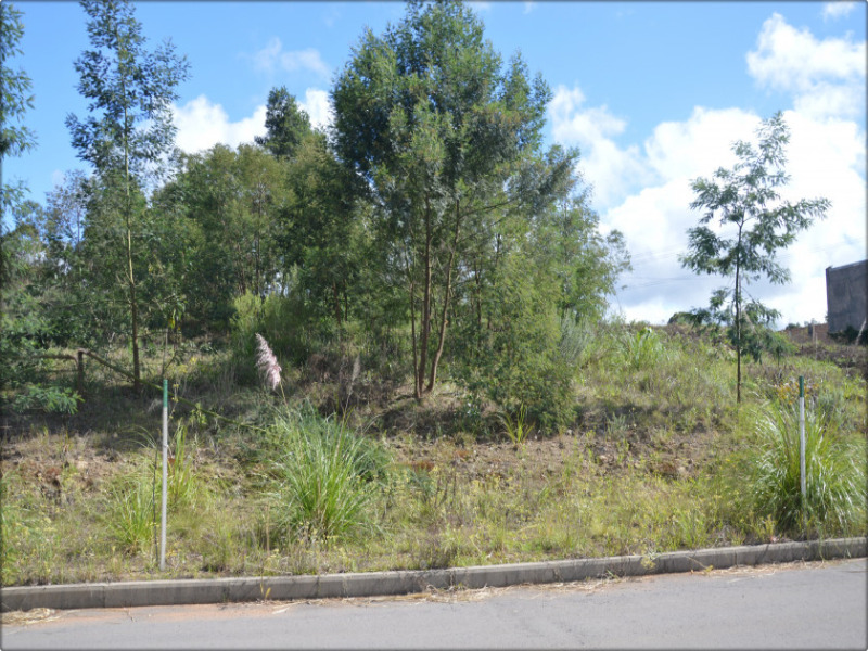 Terreno à venda, 314m² - Foto 5