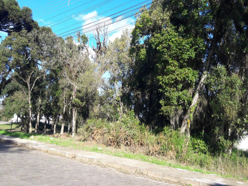 Terreno à venda, 360m² - Foto 4