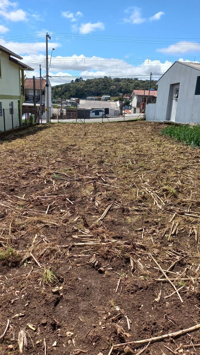 Terreno à venda, 360m² - Foto 7