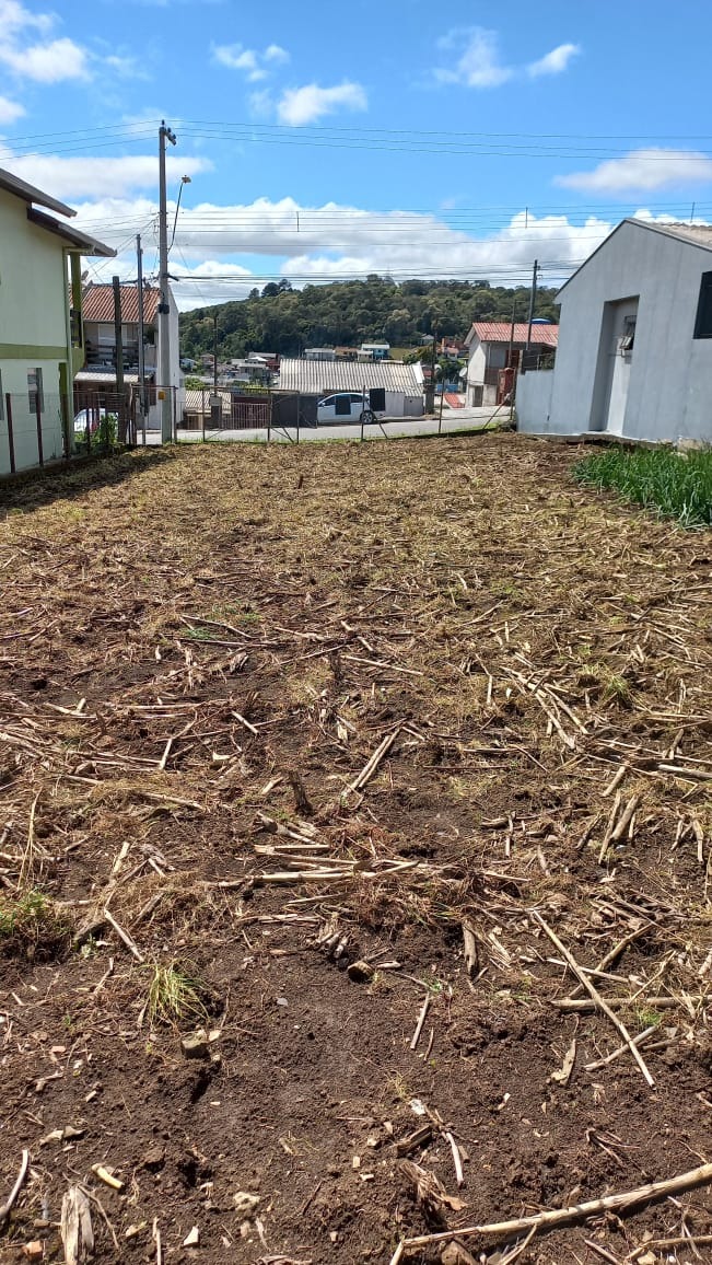 Terreno à venda, 360m² - Foto 5